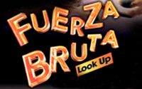Fuerza Bruta